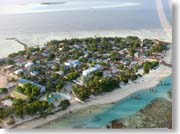 �����̓��i��B�j