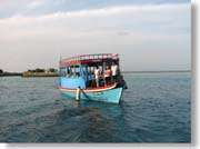 �}���ɂ���Ă���h�[�j