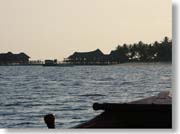 ���B�����[�t�̃V���G�b�g