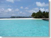 ���C�Ƌ����̓�