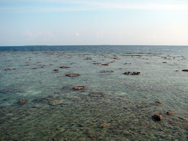 �����̃r�[�`