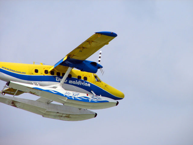 �����O�̐����s�@