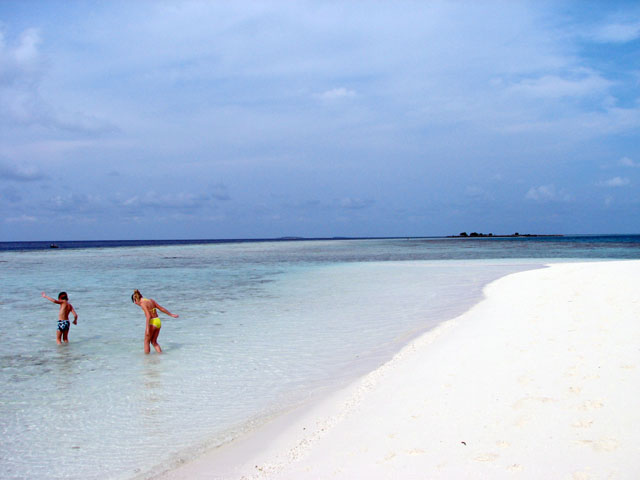 �r�[�`�ŗV�Ԏq���B