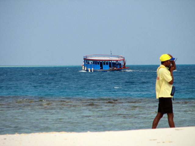 �}���̃h�[�j�ƘA�����Ƃ�X�^�b�t