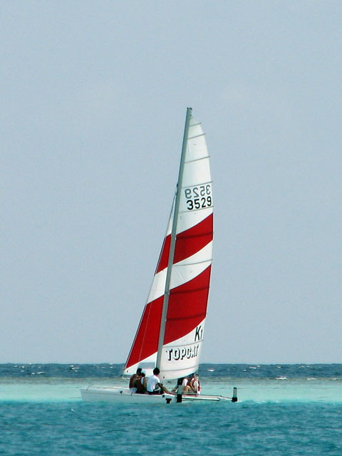 �J�^�}����