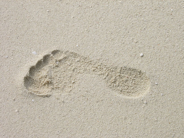 ���l�̑���