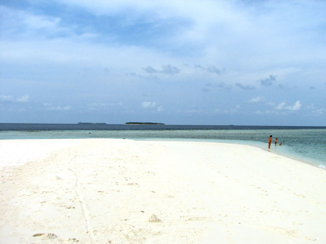 �������ƃr�[�`