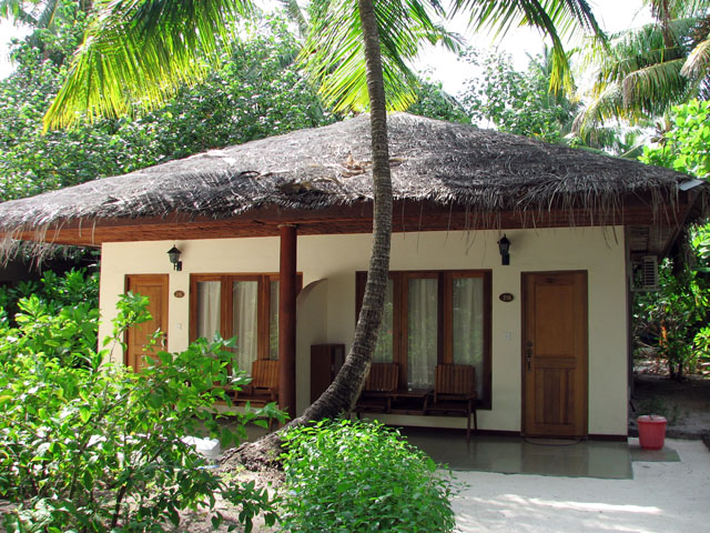 �K�[�f�����B��