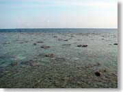 �����̃r�[�`