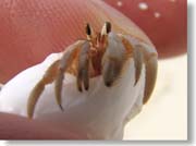 ���h�J��