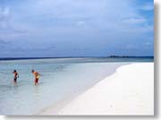 �r�[�`�ŗV�Ԏq���B