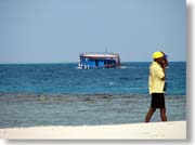 �}���̃h�[�j�ƘA�����Ƃ�X�^�b�t