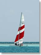 �J�^�}����