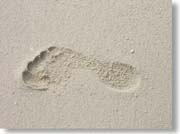 ���l�̑���