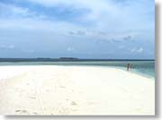 �������ƃr�[�`