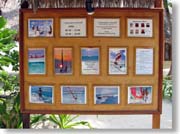 �_�C�r���O�Z���^�[�̑O�̈ē���