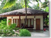 �K�[�f�����B��