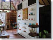 �T���E�X�p