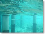 ���B���̉�