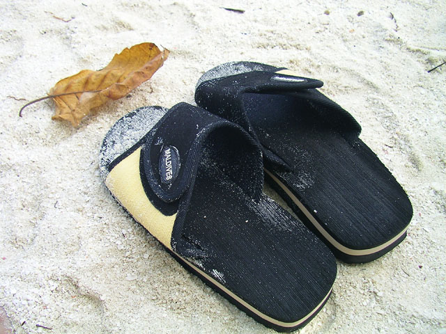 �r�[�`�T���_��