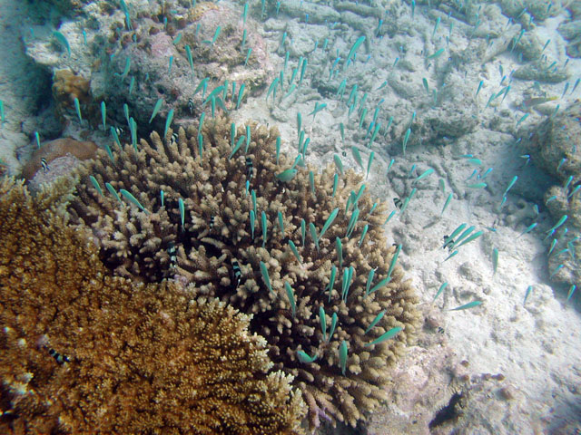 �����ȋ��B