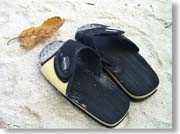 �r�[�`�T���_��