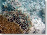 �����ȋ��B