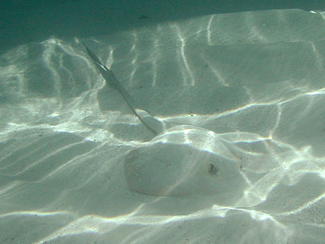 �}�_���G�C