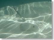 �}�_���G�C