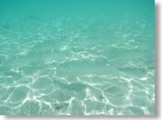 �����ȋ�