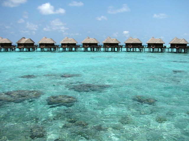 ���ピ�B��