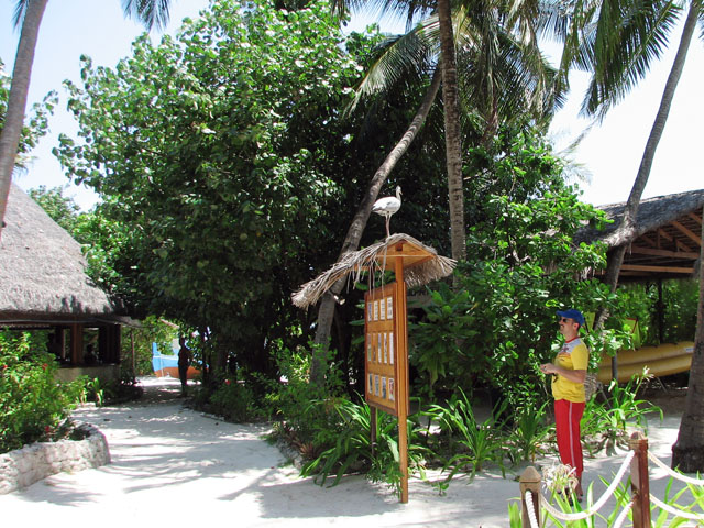 �A�I�T�M���B��ό��q