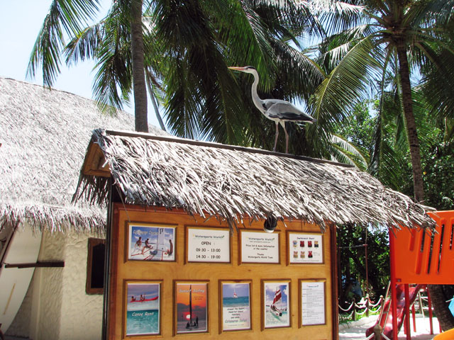 �ē��̏�̃A�I�T�M