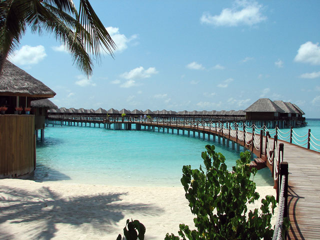 �v�[���o�[���猩�����ピ�B��