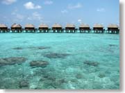 ���ピ�B��