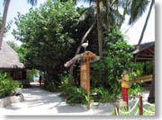 �A�I�T�M���B��ό��q