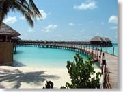 �v�[���o�[���猩�����ピ�B��