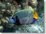 �^�e�W�}�L���`���N�_�C