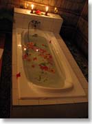 �L�����h�����C�g�ɏƂ炳�ꂽ�o�X�^�u