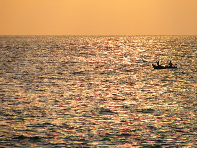 �����ɋP���C