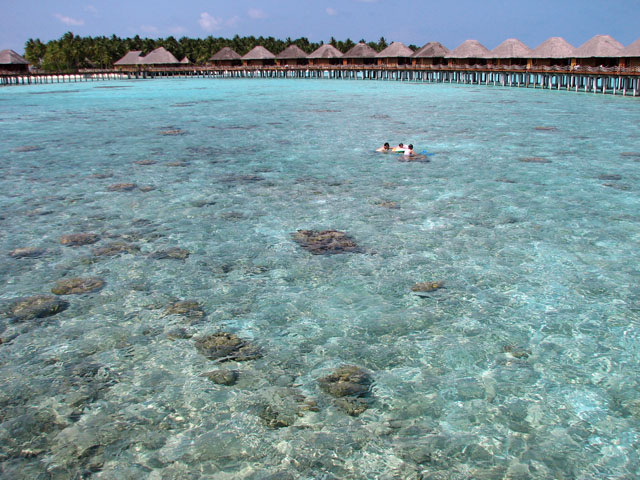 ���C�ŉj��