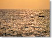 �����ɋP���C