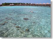 ���C�ŉj��