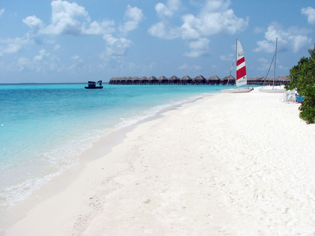 �r�[�`�Ɛ��ピ�B��