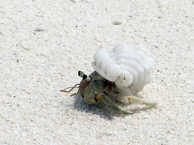 ���l��������h�J��