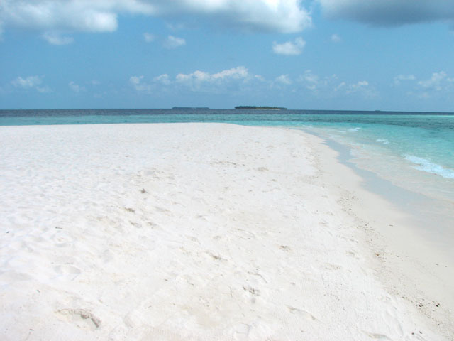 �������l�ƃr�[�`