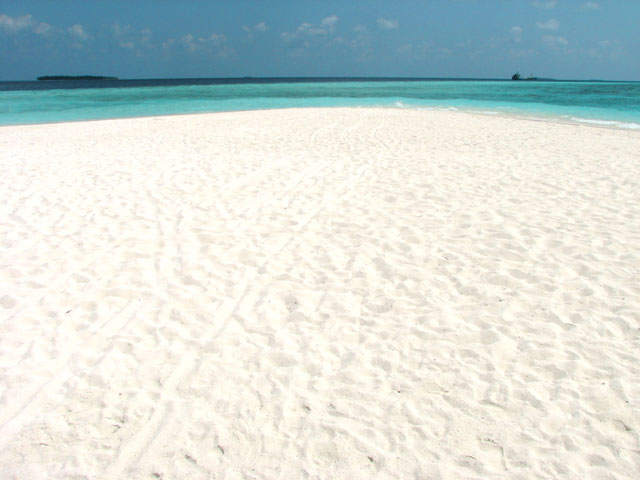 �^���������l