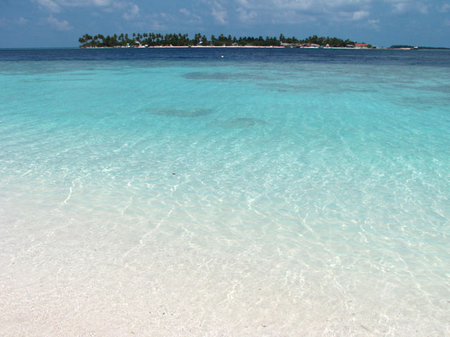 ���C�̌������ɋ����̓�