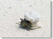 ���l��������h�J��