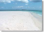 �������l�ƃr�[�`